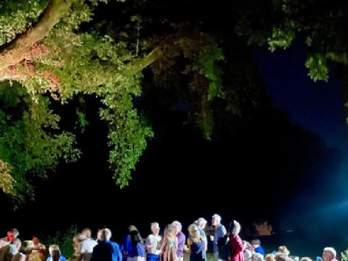 Concert du soir sous les arbres illuminés